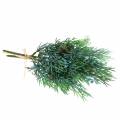Floristik24 Ginepro ramo decorativo con coni verdi, blu lavato 25 cm 2 pezzi