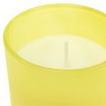 Floristik24 Candela profumata in bicchiere limone-basilico Ø7cm