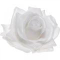 Floristik24 Cera rosa bianca Ø10cm Fiore artificiale cerato 6 pezzi