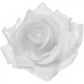 Floristik24 Cera rosa bianca Ø10cm Fiore artificiale cerato 6 pezzi