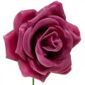 Floristik24 Rose di cera rose decorative cera rosa Ø8cm 12p