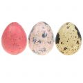 Floristik24 Assortimento di uova di quaglia rosa, rosa, naturale 3cm 62pz