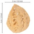 Noci decorative, prodotto naturale, 3-4 cm, 300 g | Floristik24.it
