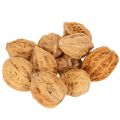 Floristik24 Noci, un prodotto naturale per la decorazione della tavola e per progetti fai da te. Noci naturali, 4-5 cm, 300 g.