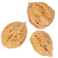 Noci, un prodotto naturale per la decorazione della tavola e per progetti fai da te. Noci naturali, 4-5 cm, 300 g. | Floristik24.it