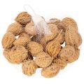 Noci, un prodotto naturale per