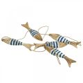 Floristik24 Appendiabiti decorativo marittimo in legno pesce da appendere blu scuro L123cm