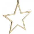 Floristik24 Decorazione natalizia stella, decorazione dell&#39;Avvento, ciondolo stella d&#39;oro B24,5 cm