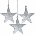 Floristik24 Ciondolo stella decorazione natalizia glitter argento 9cm 12pz