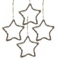Floristik24 Decorazioni natalizie stelle olmo stelle da appendere bianche 20cm 4pz