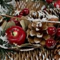 Floristik24 Ghirlanda natalizia con frutti decorativi innevati Ø33cm