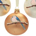 Floristik24 Palle di Natale in vetro Palla per albero di Natale uccello invernale Ø8cm 6 pezzi
