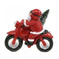 Floristik24 Figura decorativa Babbo Natale in moto con abete 19,5×13×16 cm