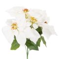Floristik24 Stella di Natale artificiale, bianca, a fiore grande, pianta decorativa, 40 cm