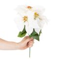 Stella di Natale artificiale, bianca, a fiore grande, pianta decorativa, 40 cm | Floristik24.it
