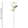 Stella di Natale artificiale bianca, grande ramo decorativo fiorito, 65 cm, 2 pezzi | Floristik24.it