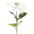 Stella di Natale artificiale bianca, grande ramo decorativo fiorito, 65 cm, 2 pezzi | Floristik24.it