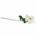 Stella di Natale fiore artificiale bianco 67cm | Floristik24.it