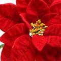 Floristik24 Poinsettia fiore artificiale rosso 67cm