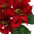 Floristik24 Poinsettia artificiale decorazione floreale di seta rossa 6 pezzi in un mazzo