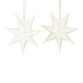 Floristik24 Finestra Poinsettia, stelle di carta Natale, stella pieghevole Ø21 cm 4 pezzi