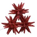 Floristik24 Stelle di Natale Decorazioni natalizie glitter rosse Ø7cm 6pz