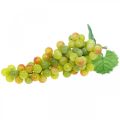 Floristik24 Decorazione per vetrine di frutta artificiale verde uva decorativa 22 cm