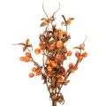 Ramo artificiale di biancospino, decorazione autunnale, 75 cm | Floristik24.it