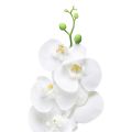 Floristik24 Orchidea artificiale bianca Phalaenopsis Real Touch 85 cm