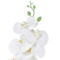 Floristik24 Orchidea artificiale bianca Phalaenopsis Real Touch H83 cm