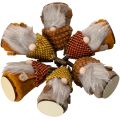 Set di statuine di gnomi con