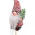 Floristik24 Gnomo decorativo Babbo Natale tappi decorativi Natale 10 cm 4 pezzi