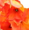 Floristik24 Wicke Art Flower Orange, Red 75cm 3pcs
