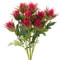 Floristik24 Ramo artificiale di cardo rosso per decorazione, 67 cm, 3 pezzi