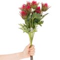 Ramo artificiale di cardo rosso per decorazione, 67 cm, 3 pezzi | Floristik24.it
