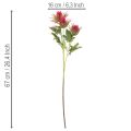 Ramo artificiale di cardo rosso per decorazione, 67 cm, 3 pezzi | Floristik24.it