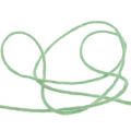 Floristik24 Cordoncino di lana verde menta 3 mm 100 m