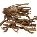 Floristik24 Rami e portainnesti decorativi in legno, essiccati naturalmente, 18 cm, 500 g