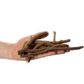 Rami e portainnesti decorativi in legno, essiccati naturalmente, 18 cm, 500 g | Floristik24.it