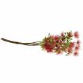 Floristik24 Fiore di seta di xantio rosa scuro 53cm 6pz