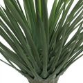 Floristik24 Yucca artificiale in vaso Pianta di palma artificiale in vaso H52cm