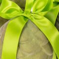 Pigne decorative da appendere,