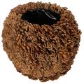 Floristik24 Vaso decorativo con pigne, aspetto naturale, 27 cm. Vaso rotondo in pigne, marrone naturale, realizzato con pigne, 27 cm x 22 cm.