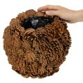 Vaso decorativo con pigne, aspetto naturale, 27 cm. Vaso rotondo in pigne, marrone naturale, realizzato con pigne, 27 cm x 22 cm. | Floristik24.it