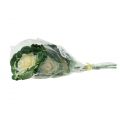Floristik24 Cavolo ornamentale artificiale bianco, verde 25 cm 6 pezzi
