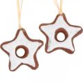 Floristik24 Decorazioni per l&#39;albero di Natale stelle di cannella stella decorativa in plastica 5 cm 24 pezzi