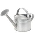 Floristik24 Annaffiatoio vintage in zinco, 27 cm - fioriera per giardino e patio, vaso da fiori in metallo