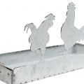 Floristik24 Vassoio di zinco con polli 30cmx12cm A15,5cm