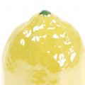 Floristik24 Ceramica limone 7cm 3pz