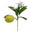 Floristik24 Ramo decorativo limone e fiori ramo artificiale decorazione estiva 26 cm 4 pezzi
